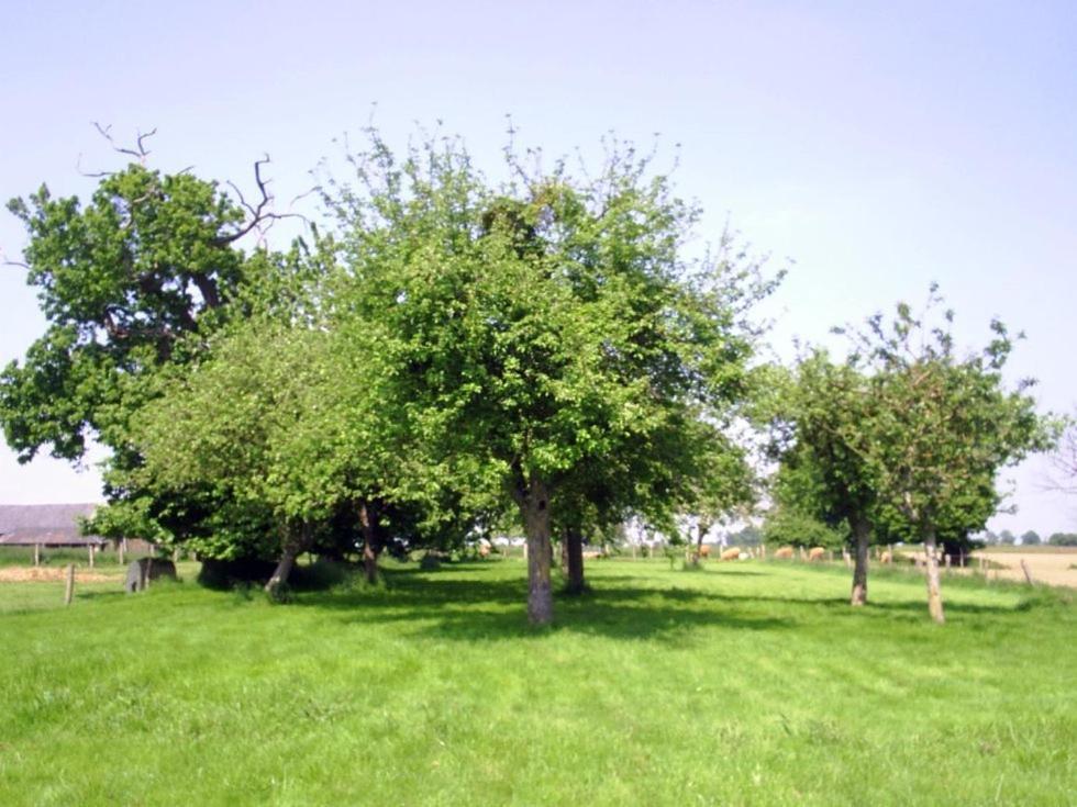 Chambres d'hôte Honey Orchard Farm Vessey Exterior foto