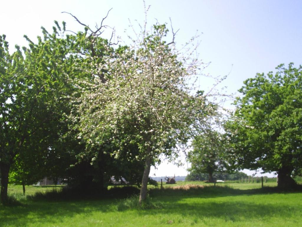 Chambres d'hôte Honey Orchard Farm Vessey Exterior foto