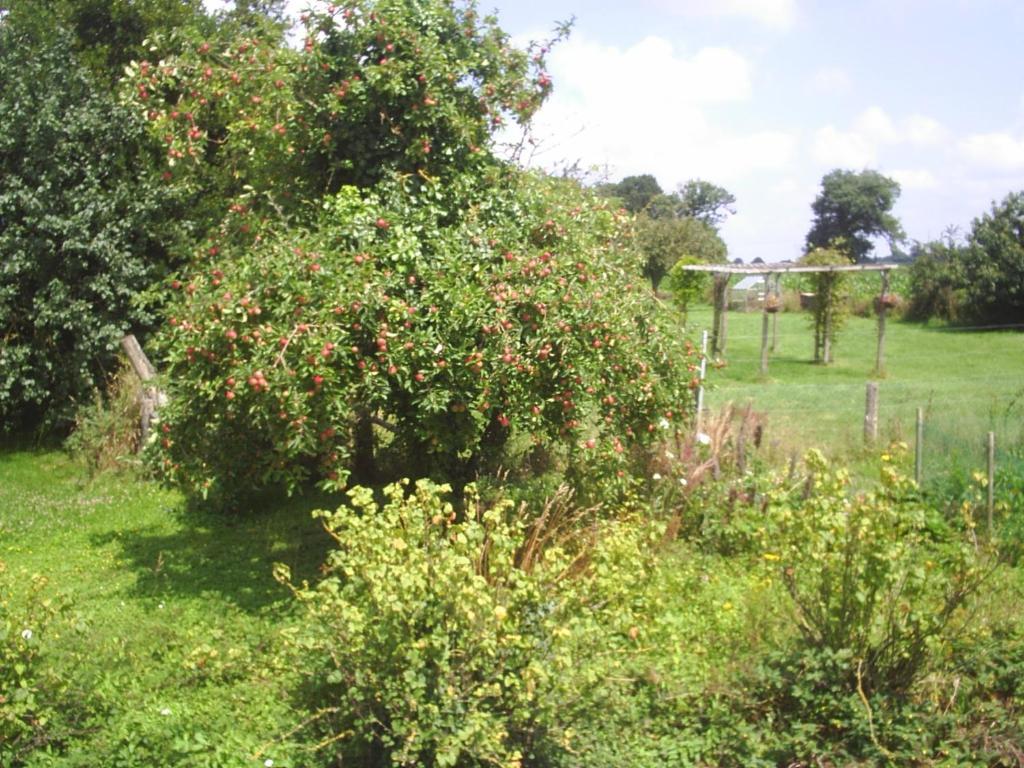 Chambres d'hôte Honey Orchard Farm Vessey Exterior foto